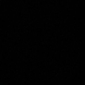 Meet your Posher, Tony